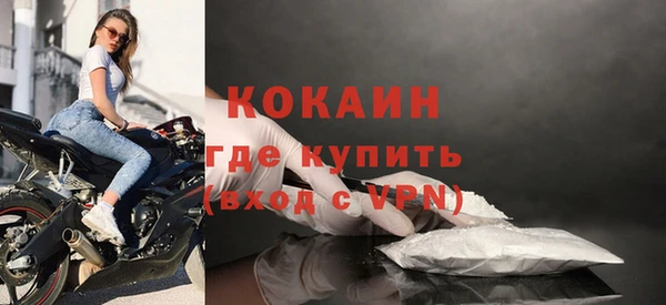 PSILOCYBIN Вязники