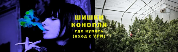 МДПВ Вязьма