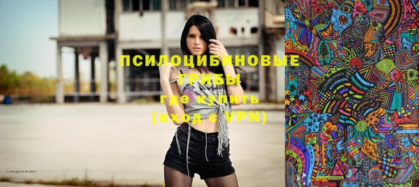 PSILOCYBIN Вязники