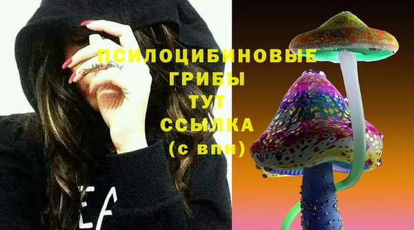МДПВ Вязьма