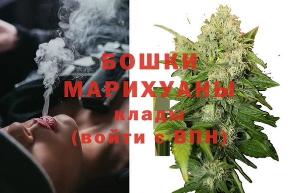 PSILOCYBIN Вязники