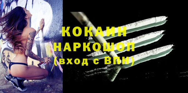 PSILOCYBIN Вязники