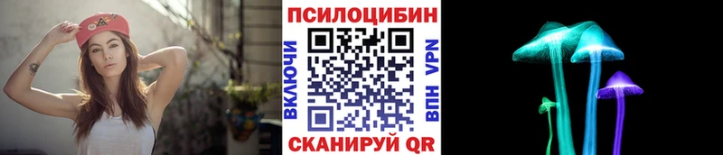 Галлюциногенные грибы GOLDEN TEACHER  продажа наркотиков  Саранск 